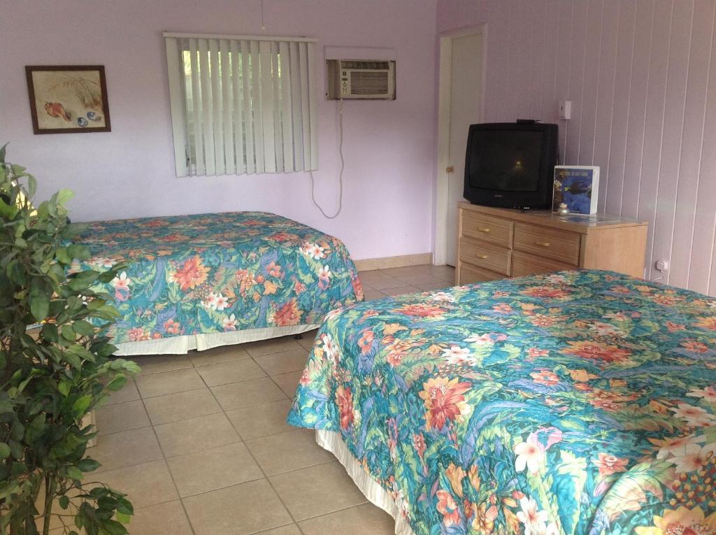 Seafarer Key Largo Resort And Beach Phòng bức ảnh